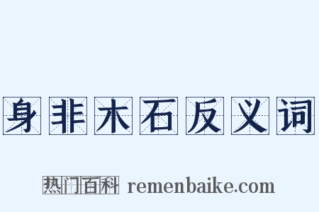 身非木石反义词是什么意思的图片